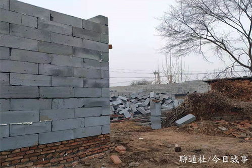 一夜之间数十院落拔地起——山东茌平“突击建房”风潮背后的基层治理难题